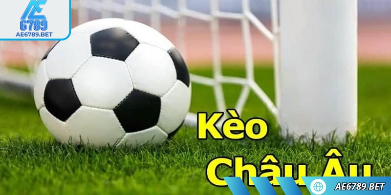 Tính lợi nhuận không hề làm khó người tham gia