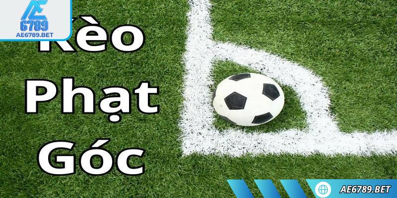Theo dõi tỷ lệ là điều cần thiết với bất cứ ai tham gia